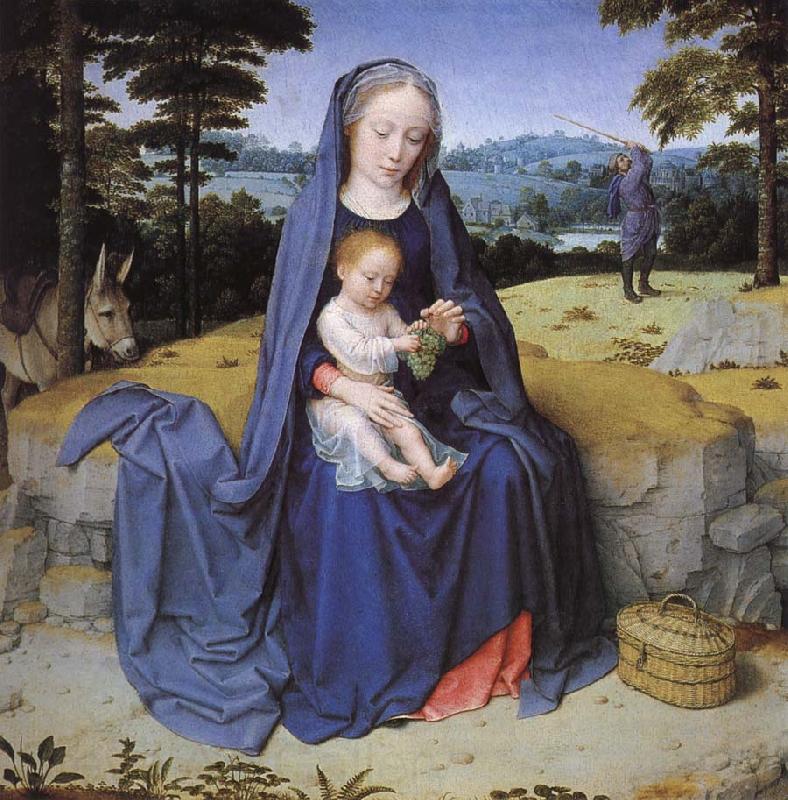 Gerard David Vila during the flight to Egypt